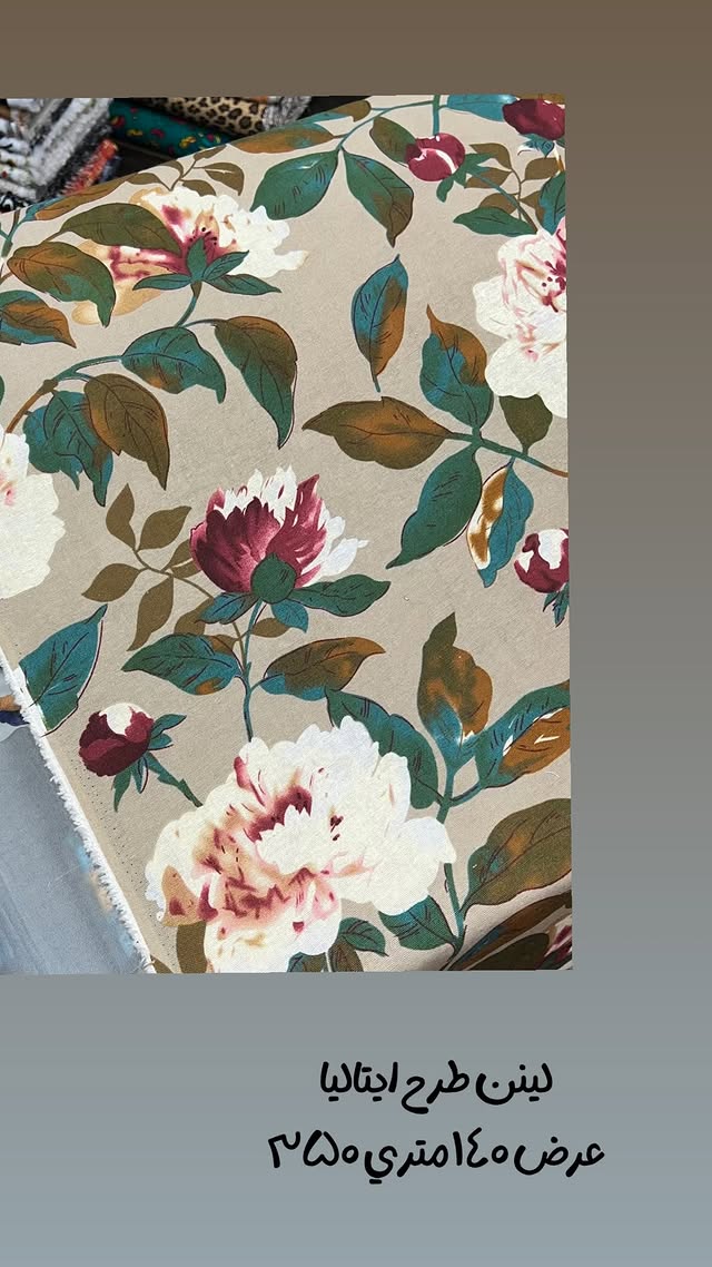 539611933_18073893704029933_6119521824764588267_n